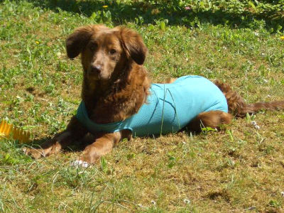 Bine_im_gruenen_Body