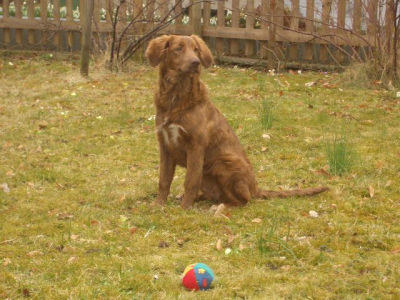 Im_Garten_am_beobachten_und_spielen