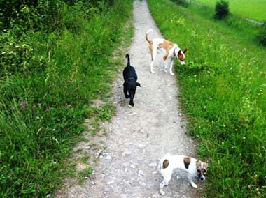 Lucky13-HE7 Lucky13-HE7