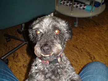 Rosco14-HE1 Rosco14-HE1