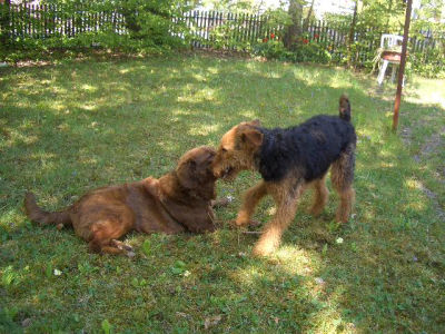 mit_ihrer_besten_Freundin_und_Nachbarin_Easy